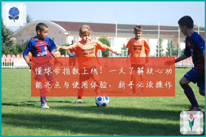 懂球帝指数上线！一文了解核心功能亮点与使用体验，新手必读操作宝典