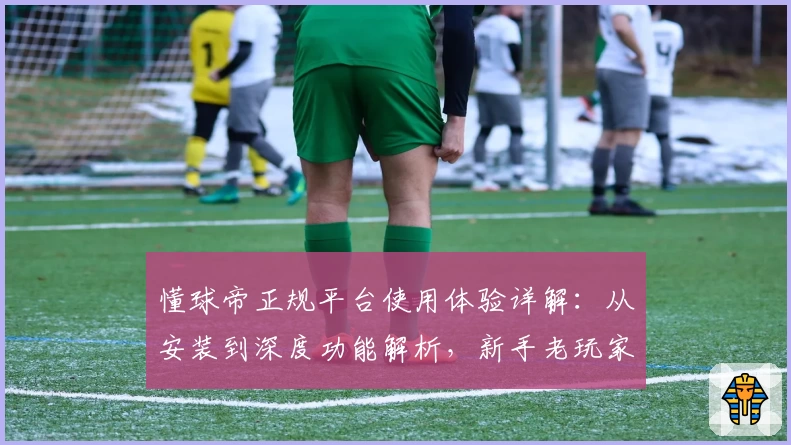 懂球帝正规平台使用体验详解：从安装到深度功能解析，新手老玩家必看指南