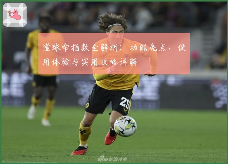 懂球帝指数全解析：功能亮点、使用体验与实用攻略详解